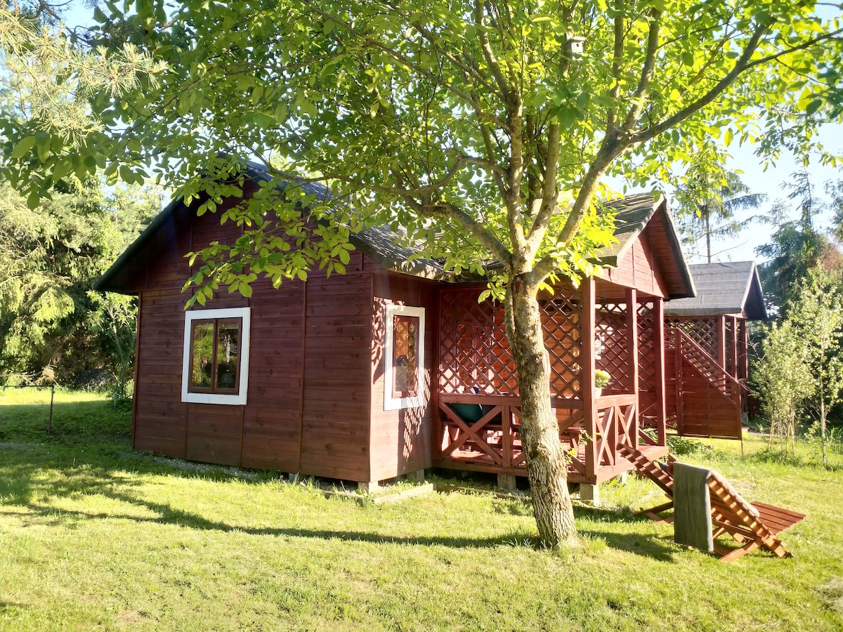 A wooden eco-friendly cabin is surrounded by a lush green garden. The structure features inviting windows and a covered porch, with a wooden railing creating a welcoming entryway. Tall trees provide shade, enhancing the serene outdoor environment.