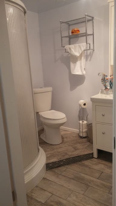 Lower Level Bathroom