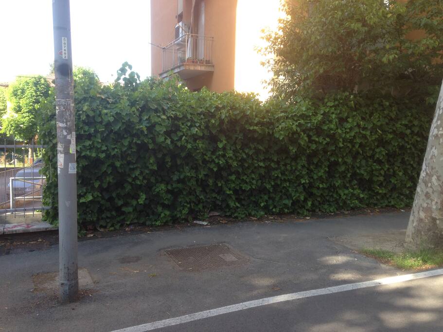 veduta dalla pista ciclabile