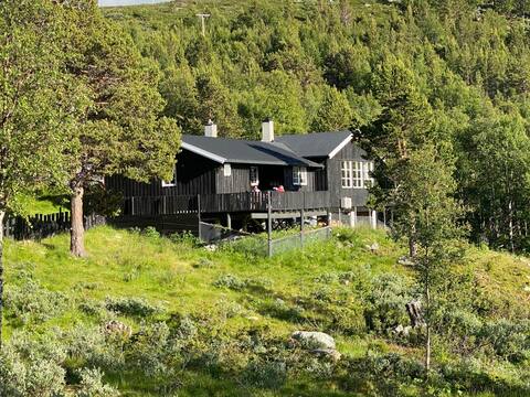 Fantastic cottage mountain view Galdhøpiggen/Lom