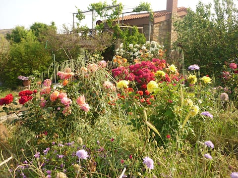 Traditional Greek seaside cottage