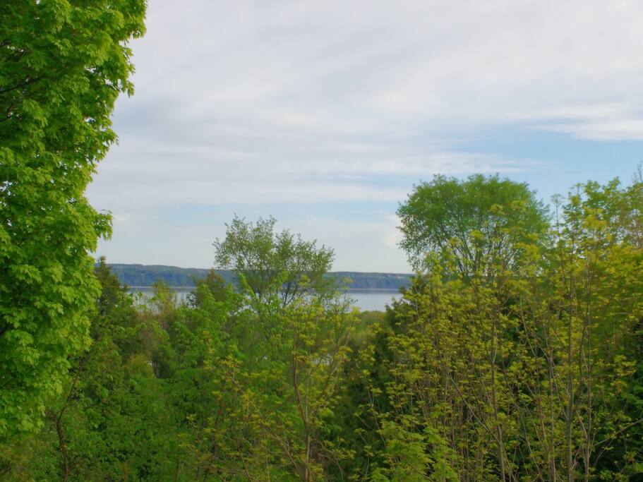 vue d'en arrière
