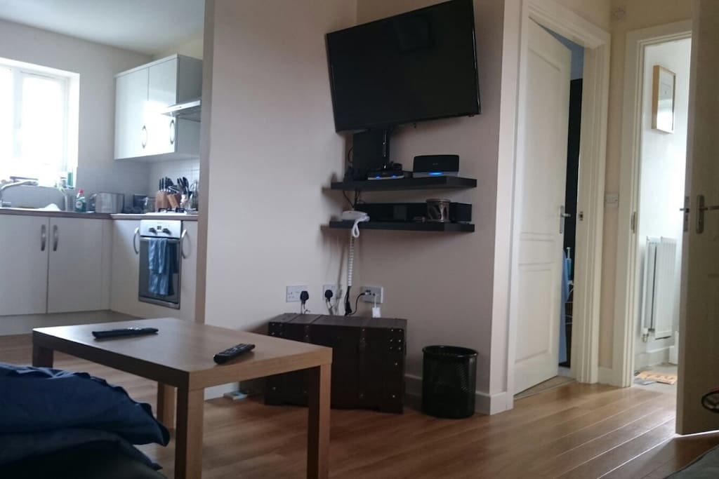 Open plan sitting room with large leather sofa and separate sofa bed . TV with freeview channels .