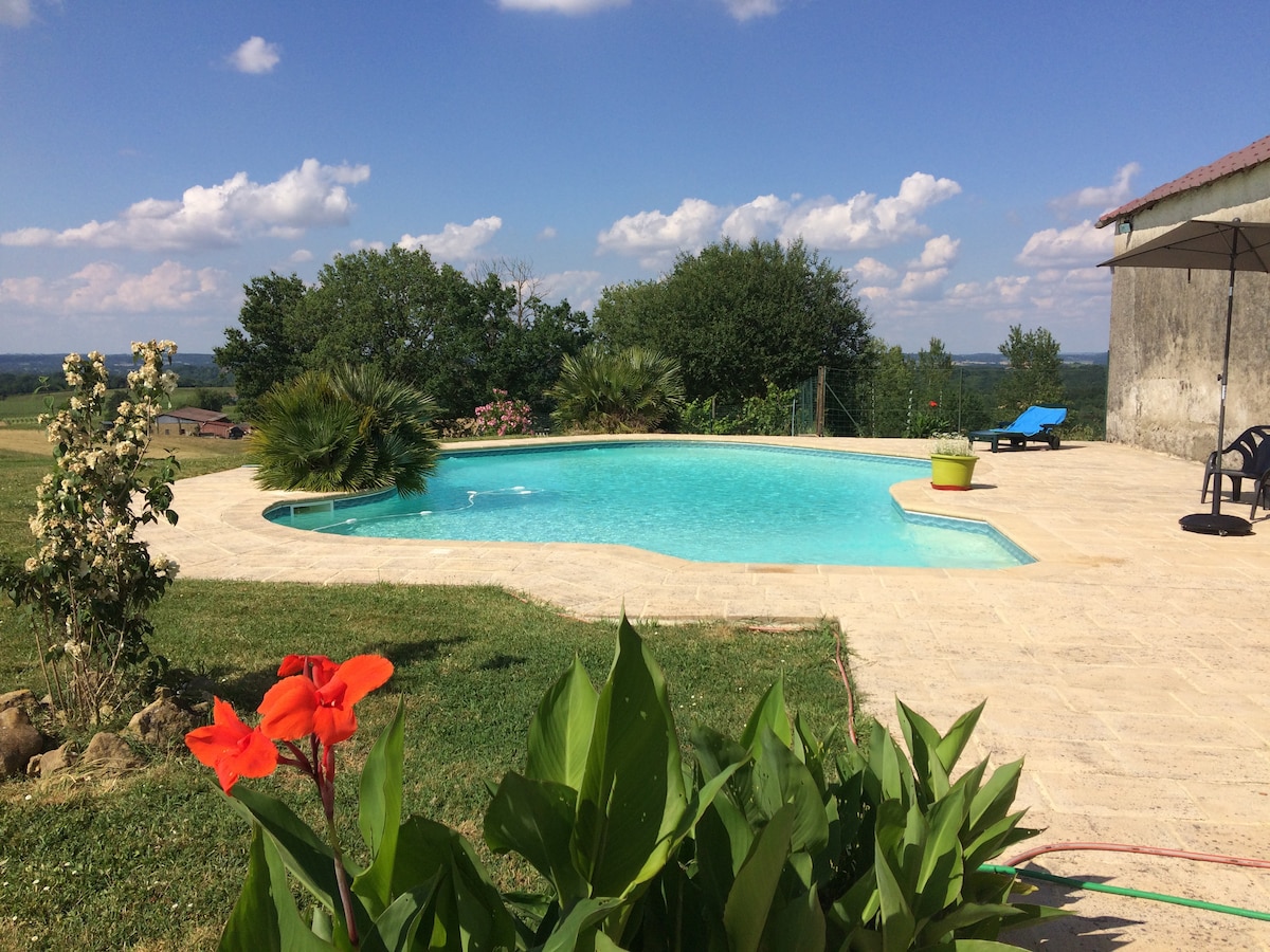 A clear, turquoise pool is set against a backdrop of green trees and rolling hills, offering expansive views. Surrounding the pool, a sun-drenched patio features a mix of tropical plants and chairs for relaxation, enhancing the serene outdoor setting.