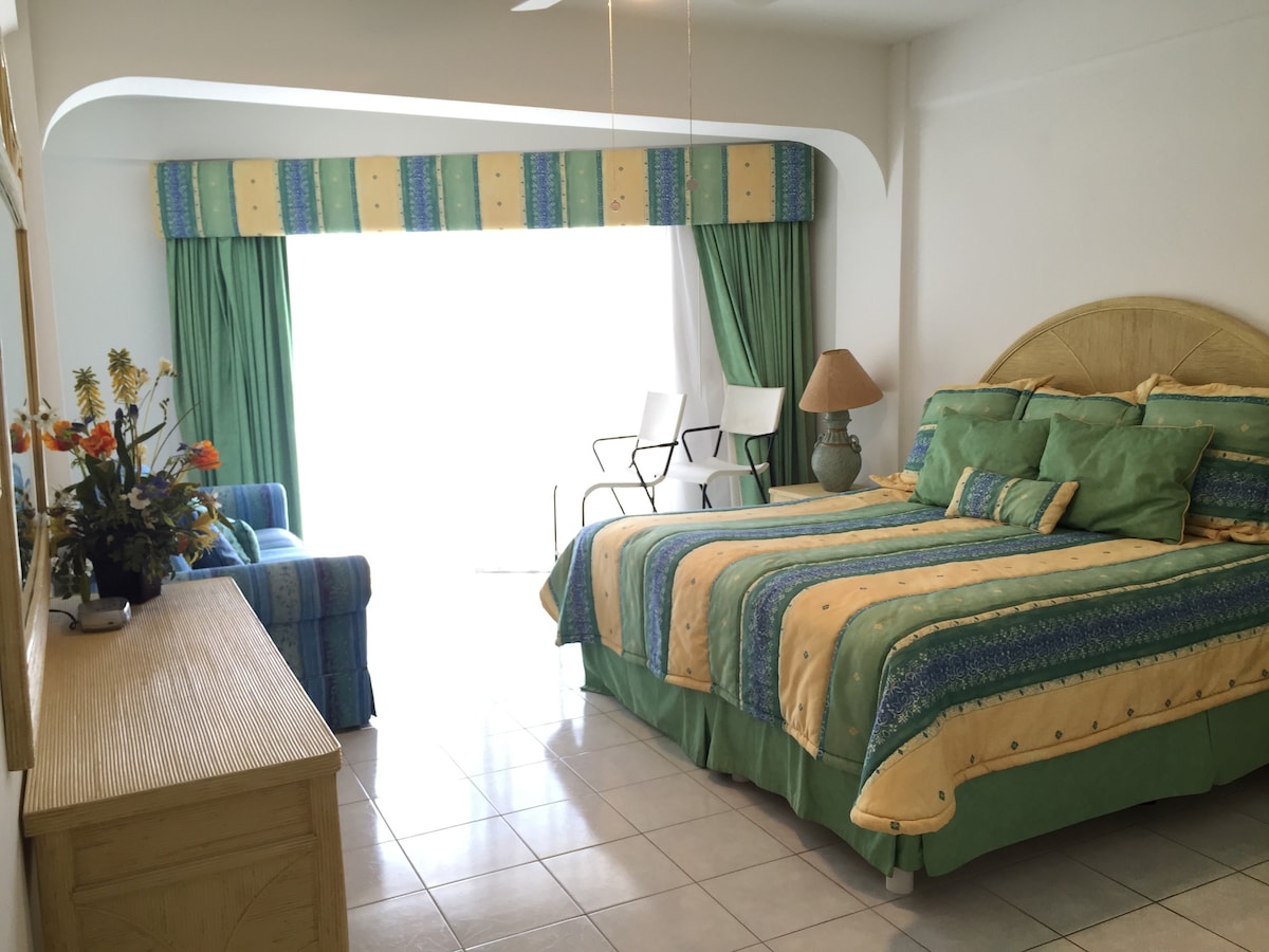 غرفة النوم الرئيسية