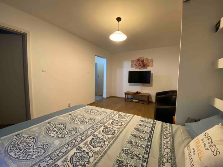 Lovely 1 bedroom city apartment Condominiums for Rent in Timișoara