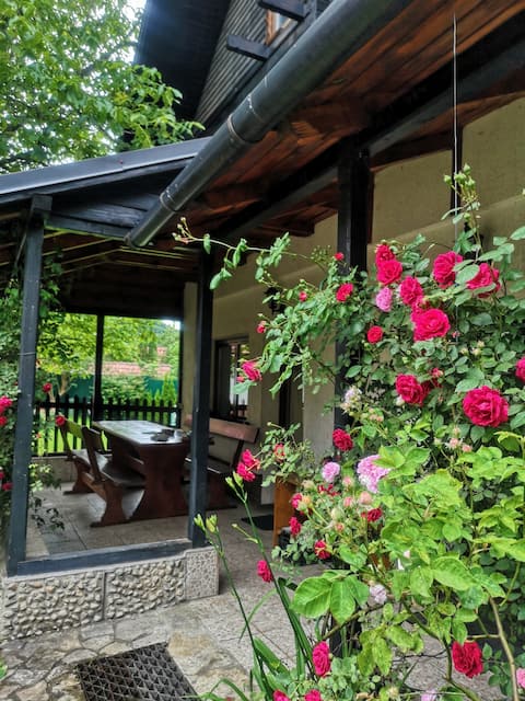 Silva Cabin - only moments away from the Castle