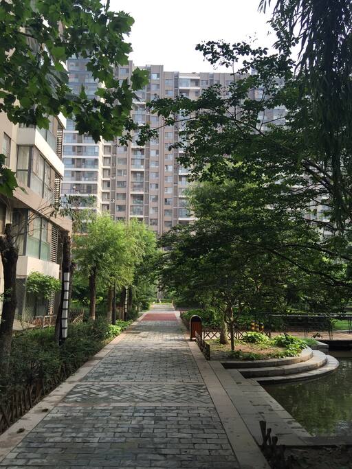 小区环境