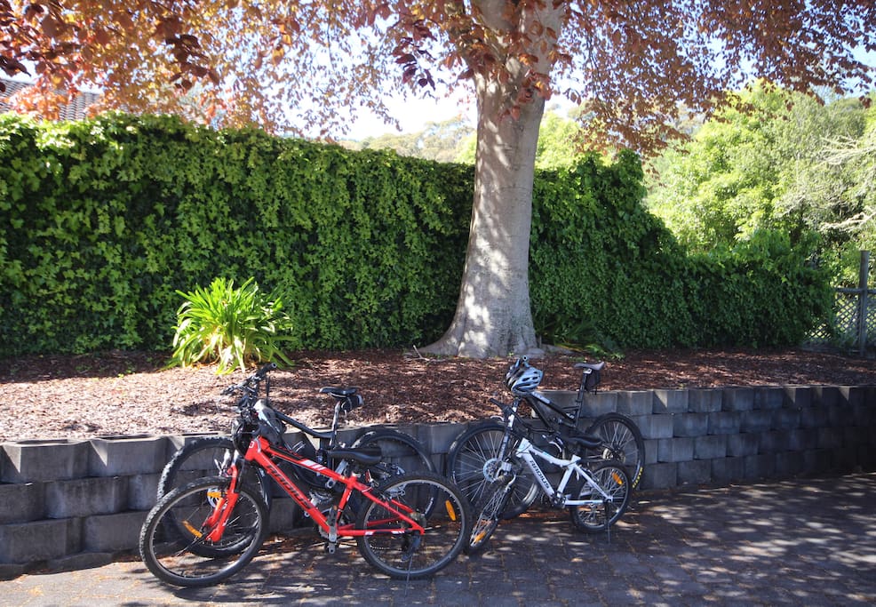 4 quality mountain bikes for your use