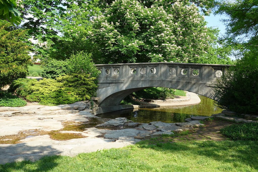Bridge @ Eden Park