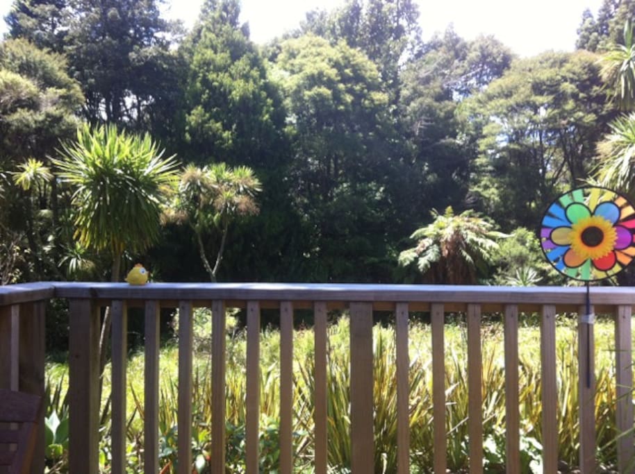 View from the deck