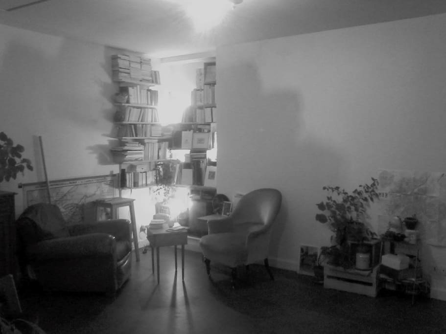 Le coin salon/bibliothèque