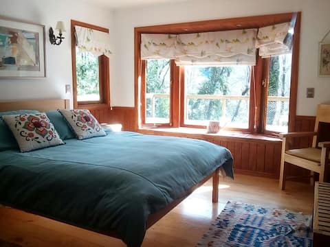 Caburgua Lake - 14 People - Forest