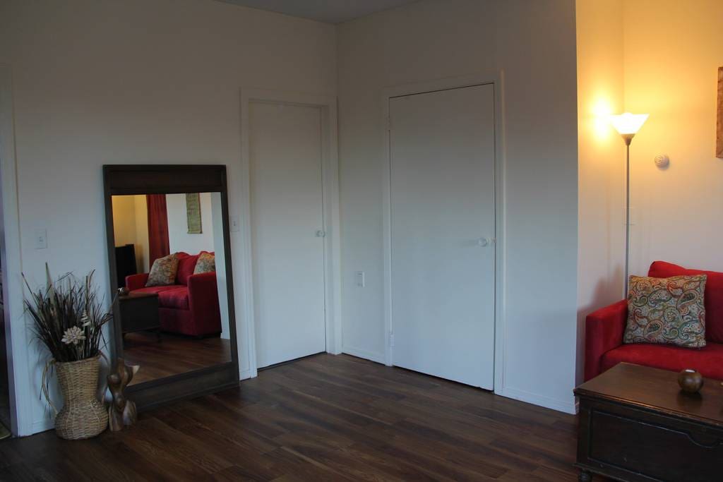 Full size mirror and full closet.