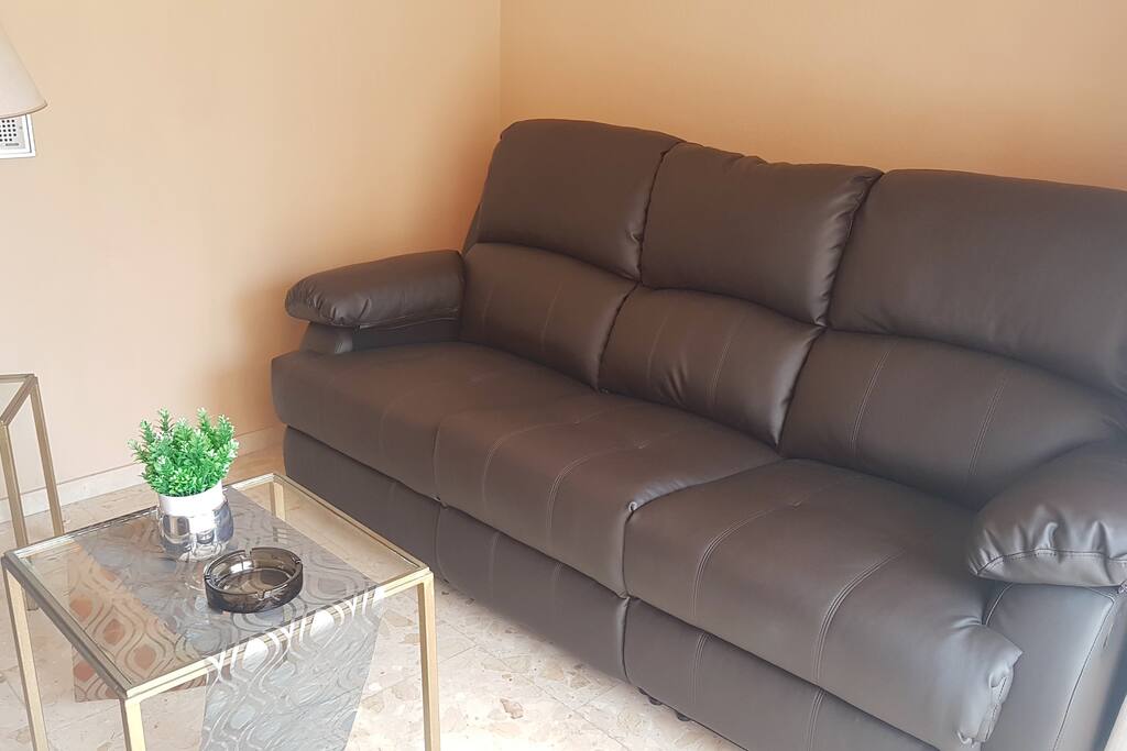 Living area with leather sofa couch