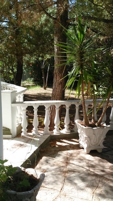 garden