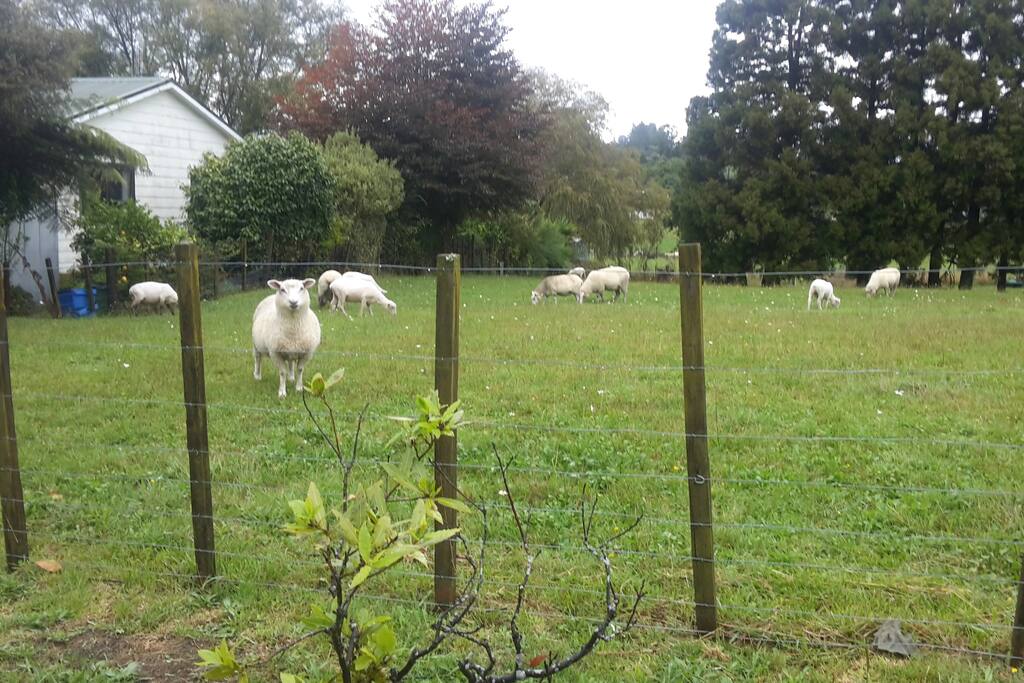 The Welcoming Committee.