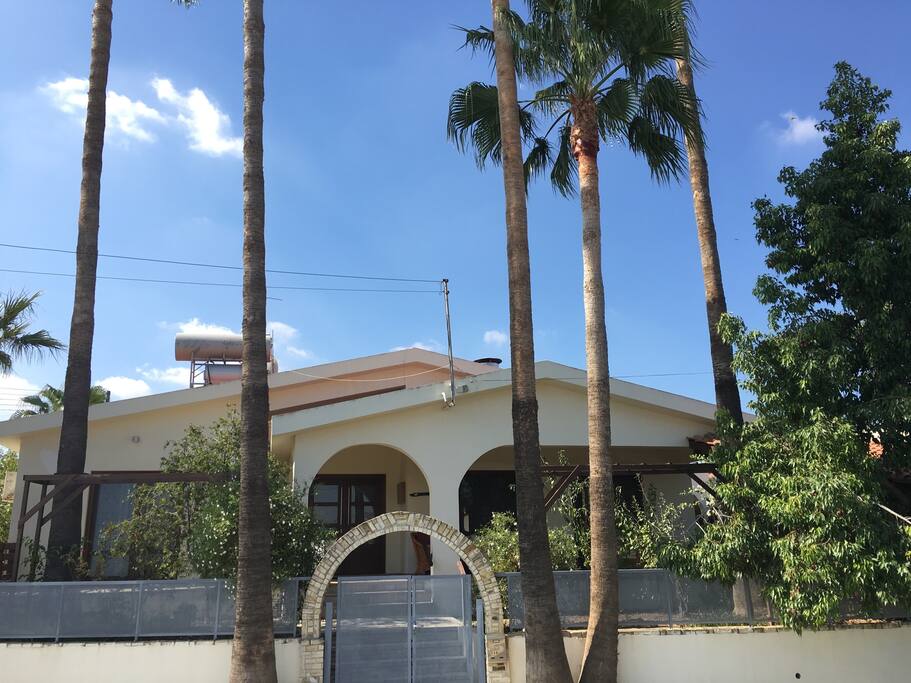 The house