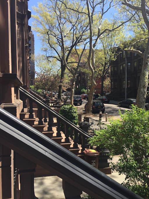view from the front stoop