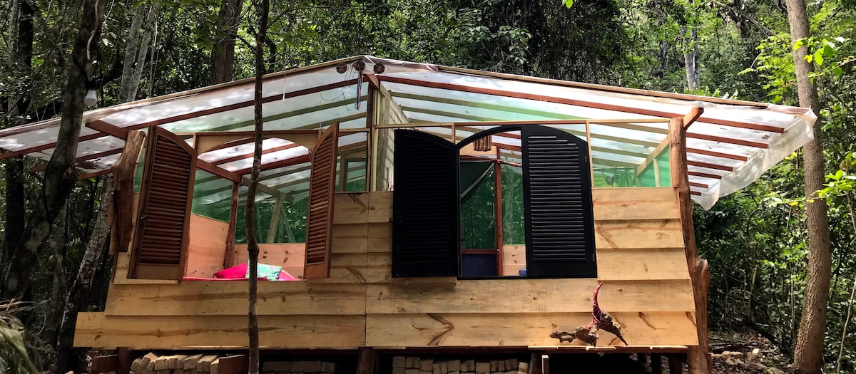 A wooden cabin is surrounded by lush greenery, featuring large open windows with black shutters. The structure showcases a roof with transparent panels, allowing natural light to filter inside. The warm wood tones blend harmoniously with the vibrant forest environment.