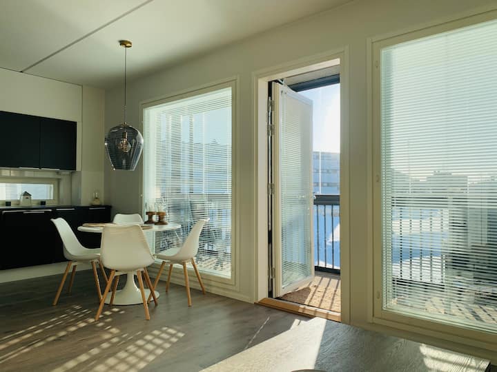 Modern comfortable central flat, terrace, sauna