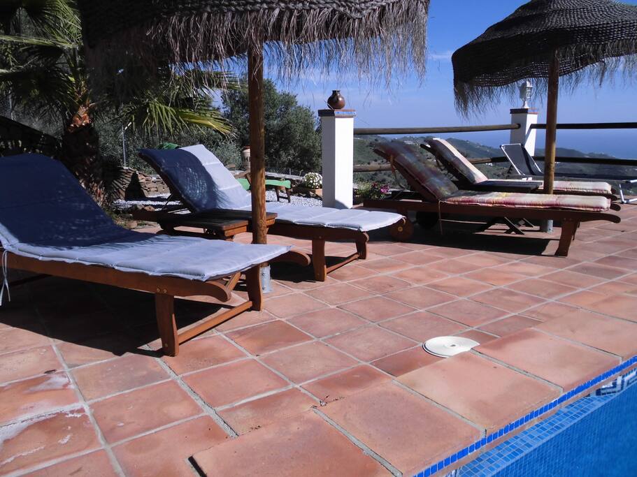 Palmenterrasse am Pool