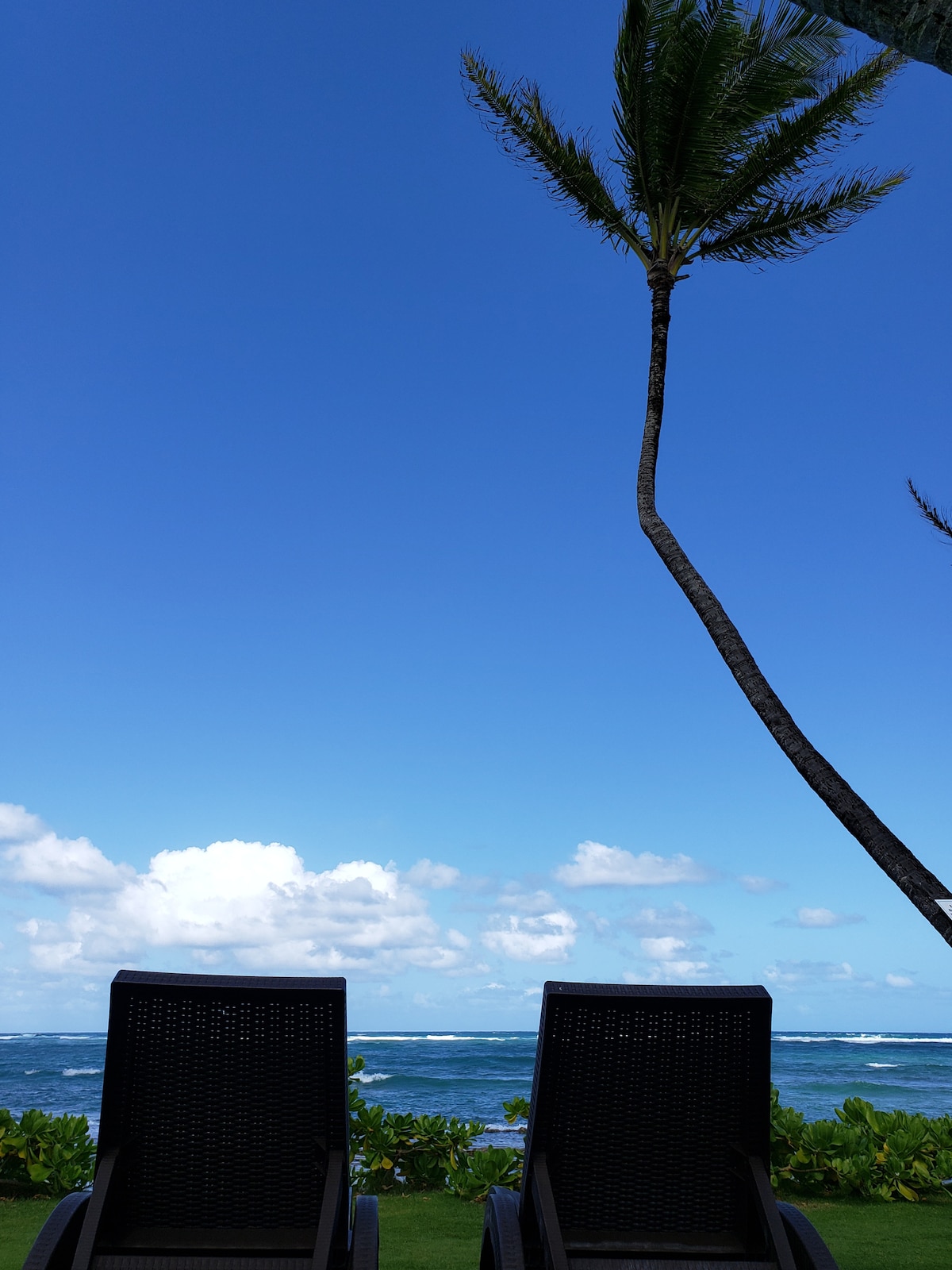 🥥Oceanfront in beautiful Coconut Coast#paradise🌞 – Photo 14