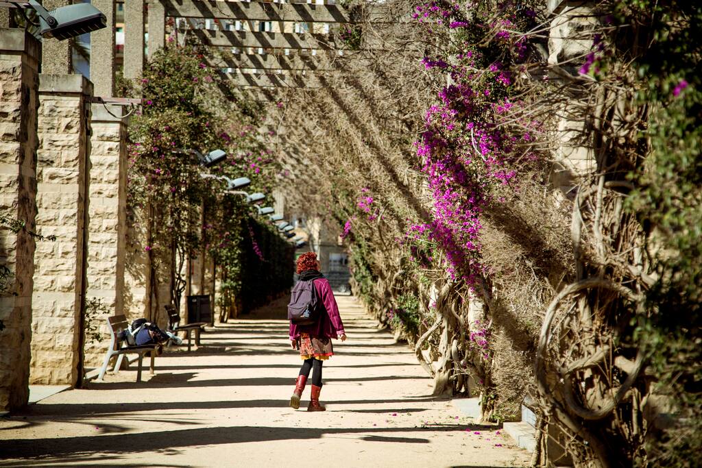 Foto av La Nova Esquerra de l'Eixample i La Nova Esquerra de l'Eixample