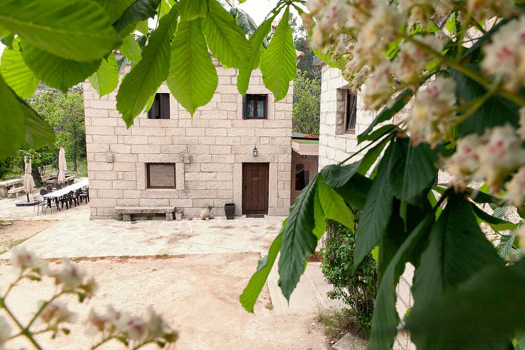 Casa Grande: aquí se encuentra la habitación Mirada al Bosque