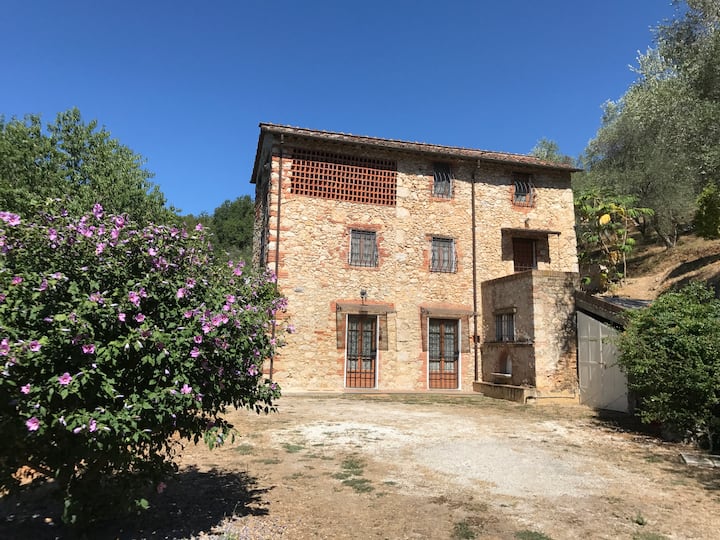Casale Edi - Camaiore