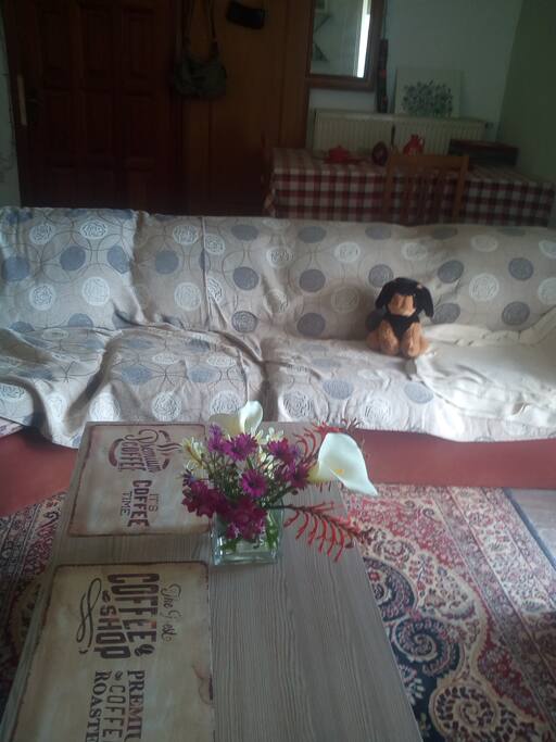 Σαλόνι - living room