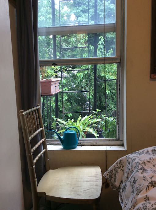 Leafy view out the bedroom window.
