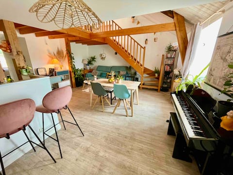 Attic duplex with river view