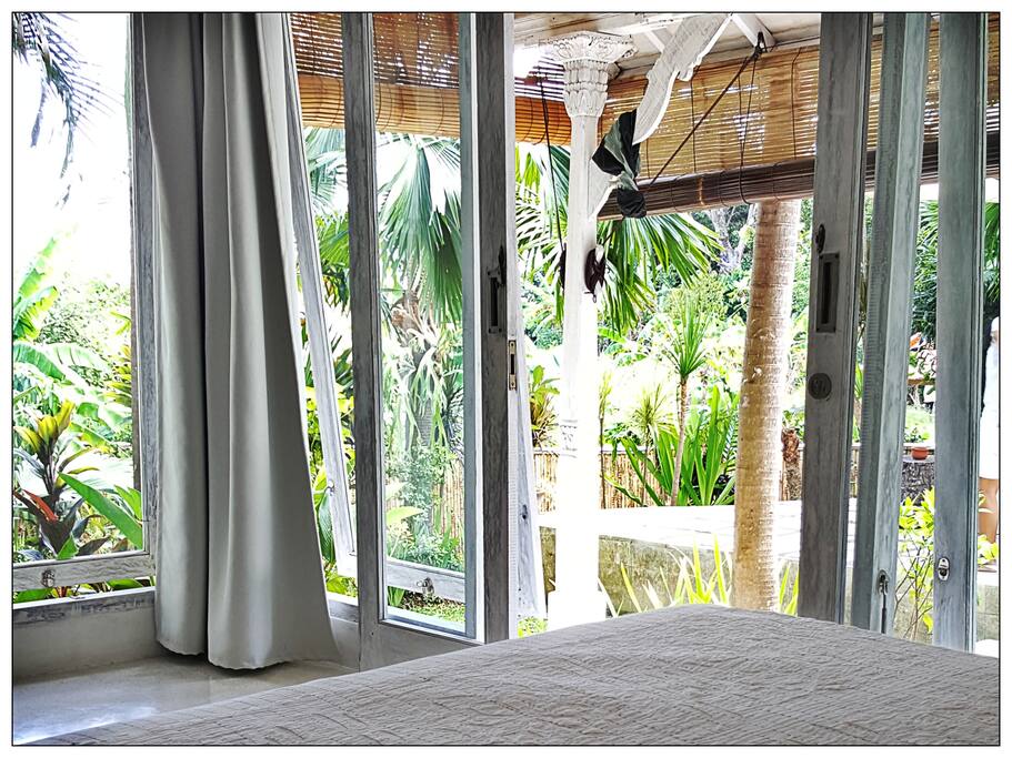 View from Bungalow