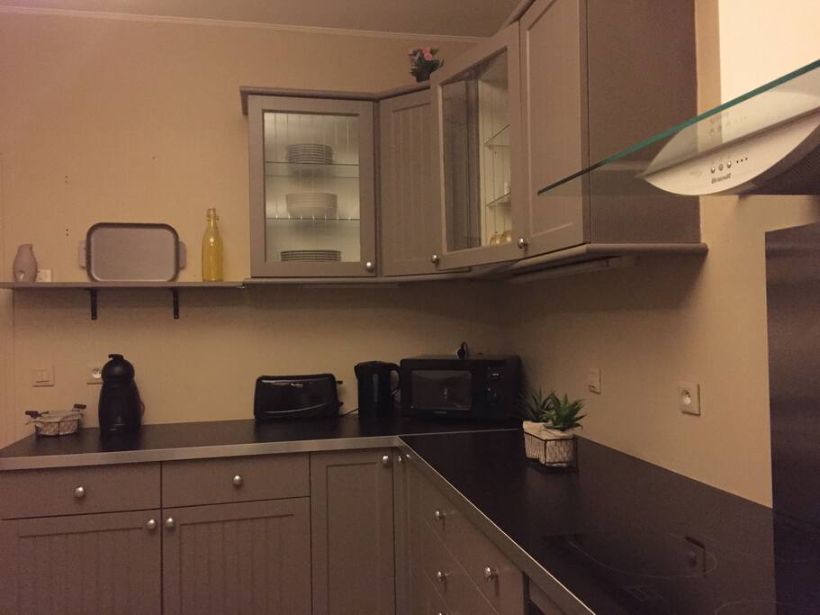 Cuisine équipée (four,plaque, micro-onde, cafetière, grille-pain, lave-vaisselle, frigo)