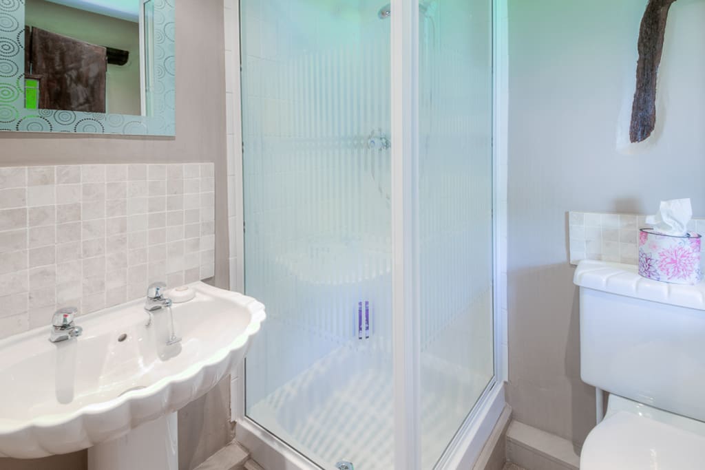 The En-suite shower room