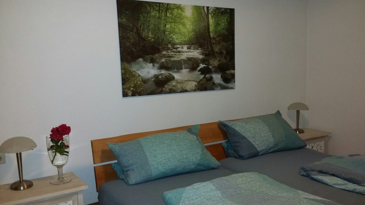 带实木双人床的卧室，电视