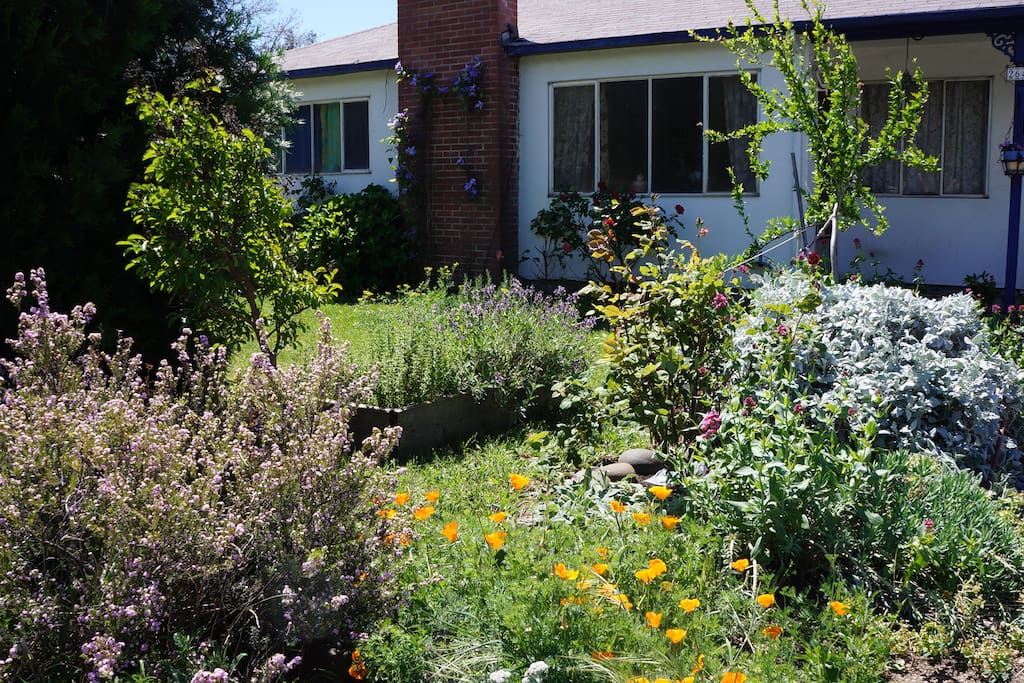 Pleasant, modest home with gardens on a bumpy street!