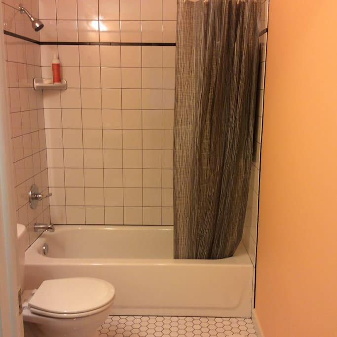 Newly renovated, shared bathroom. Shampoo and soap included so you don't have to bring your own.