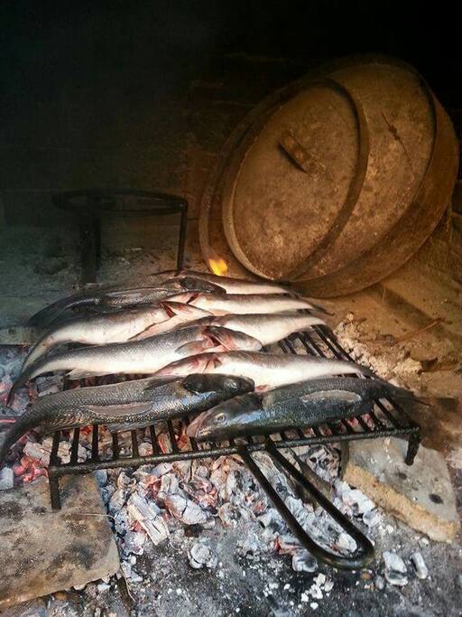 Fish for lunch in our apartment :)