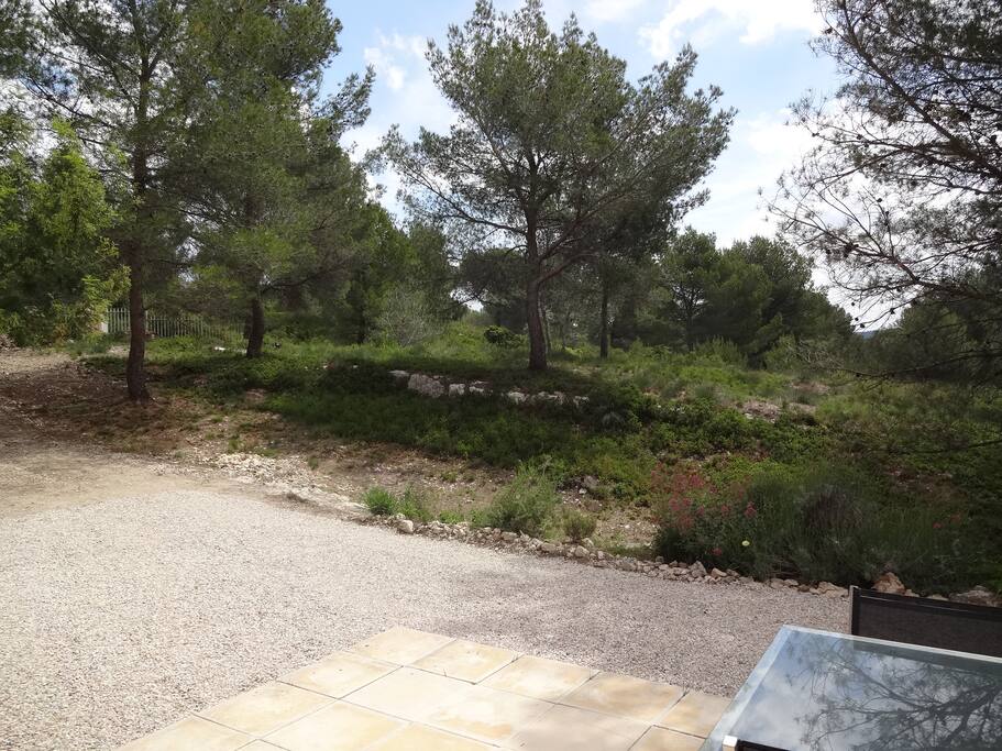 Jardin