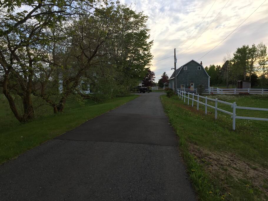 Front yard