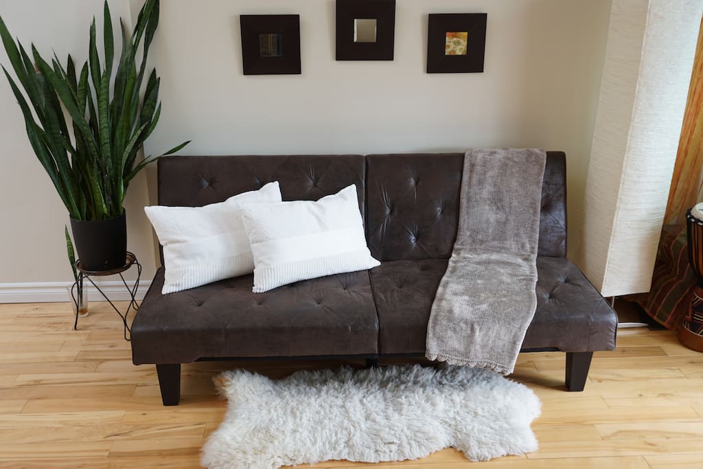 Sofa bed (living room)