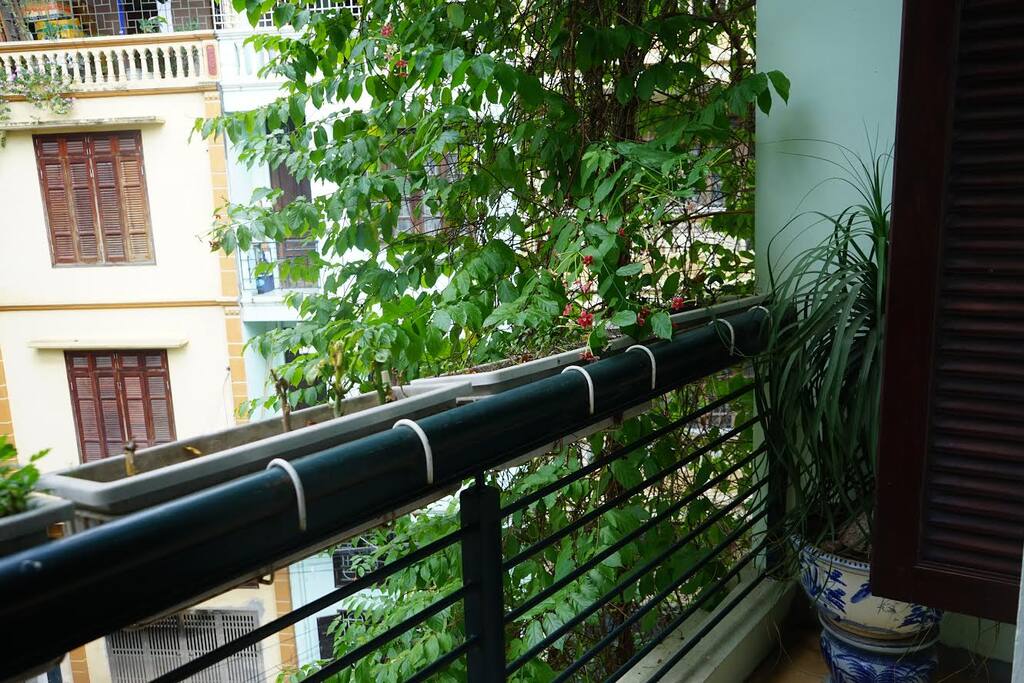 Balcony room 301