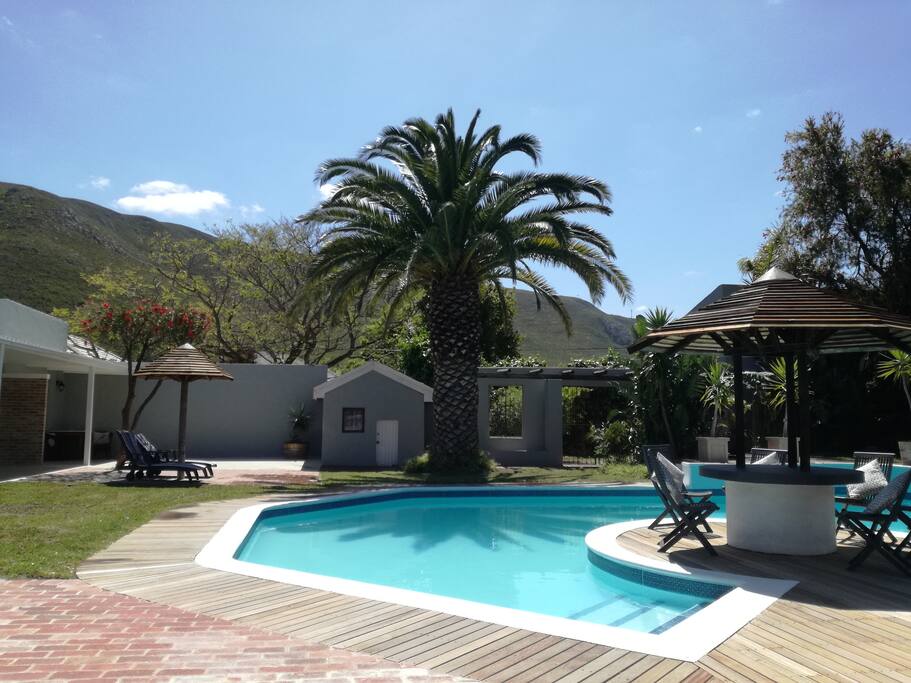 Spacious outdoor area , pool loungers and seating