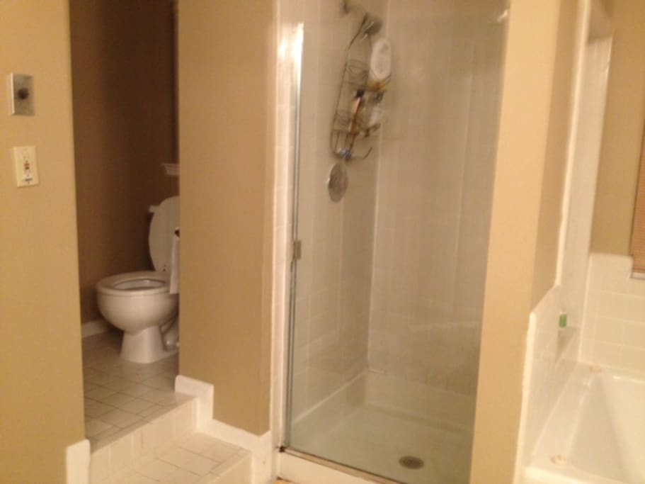 Toilet and shower within private bathroom