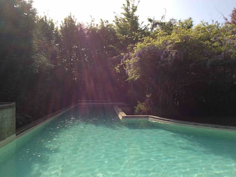 Artistic luxury mansion with swimming pool 12 people