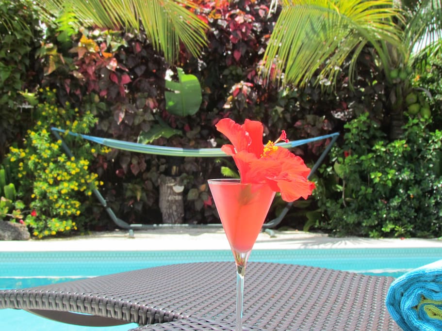 Airbnb Luxe guest suite-Adult Staycation, Pool & Parking