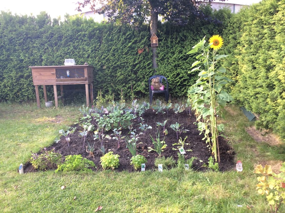 Ja, we hebben ook een moestuin :)