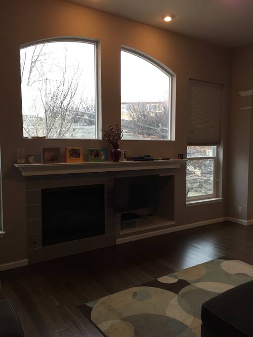 Gas fireplace and LCD tv